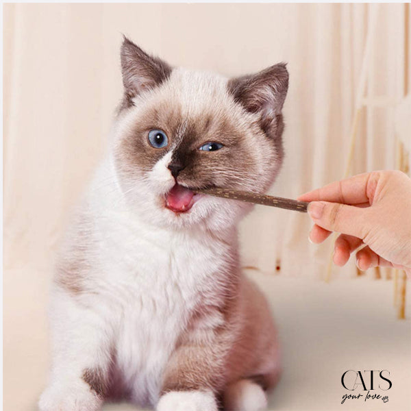 Miracle Anti-Tartar-tandløsning til katte: tandsten – Cats Your Love