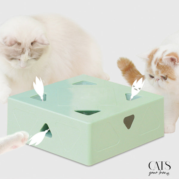 Gift Ideas for Cats - Offer Happiness to your Feline