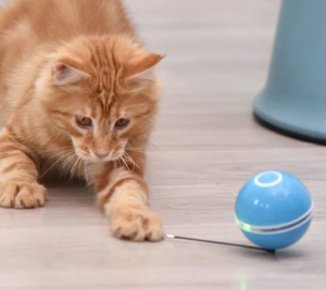 Interactive LED Ball for Cats - Play Safely and Entertain Your Cat!