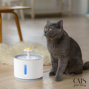 Why do cats prefer to drink moving water?