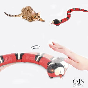 Cat Snake Toys - Stimulate Instinct and Get His Attention!