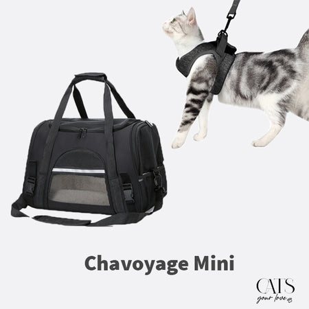 Coffret Chavoyage Mini & Maxi - Cats Your Love