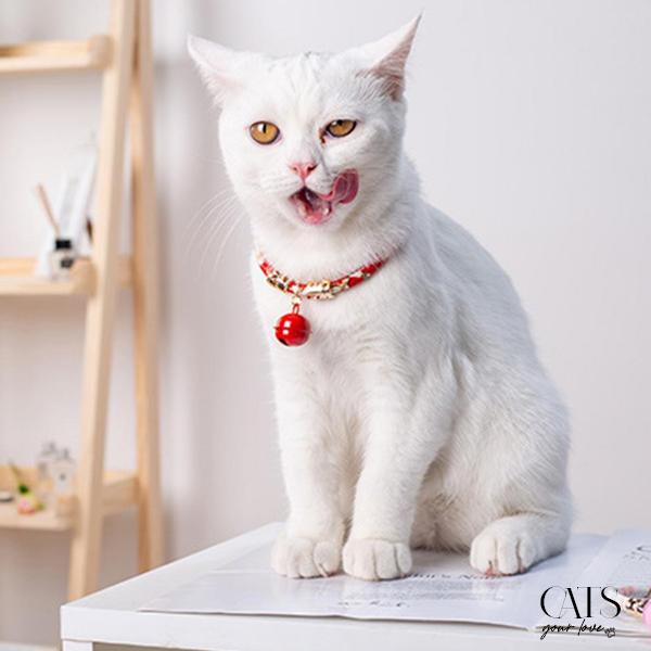 Collier Japonais - Cats Your Love