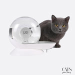 Load image into Gallery viewer, Aqua Fontaine - Cats Your Love
