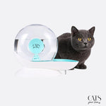 Load image into Gallery viewer, Aqua Fontaine - Cats Your Love
