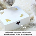 Load image into Gallery viewer, CacheCache Box - Cats Your Love
