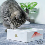 Load image into Gallery viewer, CacheCache Box - Cats Your Love
