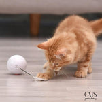 Load image into Gallery viewer, Lovin&#39; Balle - Cats Your Love
