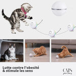 Load image into Gallery viewer, Lovin&#39; Balle - Cats Your Love
