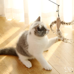 Load image into Gallery viewer, Flexi Canne - Cats Your Love
