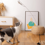 Load image into Gallery viewer, Flexi Canne - Cats Your Love
