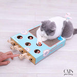 Load image into Gallery viewer, DivertyCats - Cats Your Love
