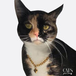 Load image into Gallery viewer, Cats Bijoux - Cats Your Love
