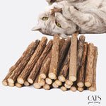 Load image into Gallery viewer, Chadentition - Cats Your Love
