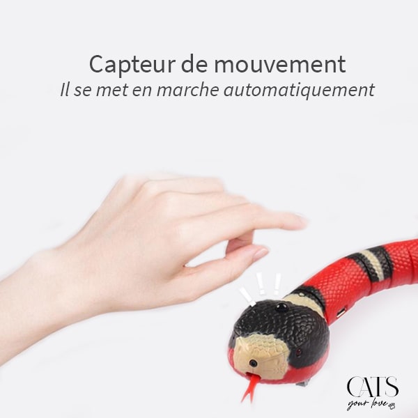 Charpent - Cats Your Love