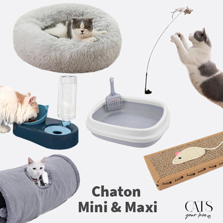 Coffret Chaton - Cats Your Love